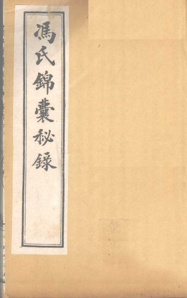 冯氏锦囊秘录杂症大小合参  卷9、卷10